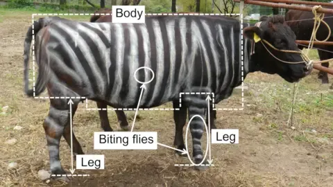 Black-and-White Bovines and Non-Stick Cuisine Win Tongue-in-Cheek Research Honors